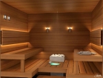 Fiber optic lighting for sauna SAUNA LIGHT CARIITTI TORCH FIXTURE TL-100 CARIITTI TORCH FIXTURE TL-100